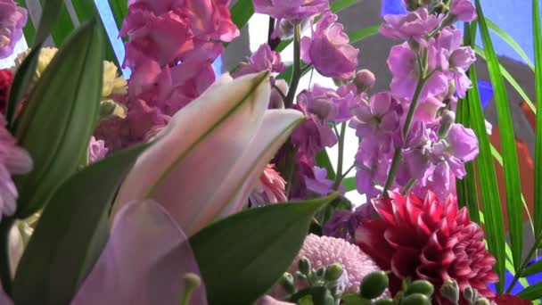 Arrenged Çiçek Onun Arrenged Çiçek Fotoğraf Makinesi Canon Eos — Stok video