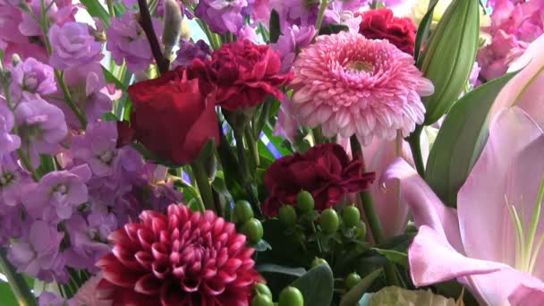 裂柱状拡散体の花 その裂柱状拡散体の花 カメラ キヤノン Eos — ストック動画