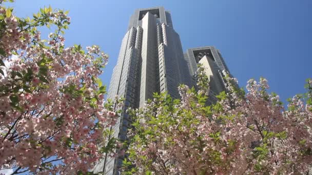 Kiraz Tokyo Hükümeti Office Geniş Arkasında Batı Shinjuku Adlı Vurdu — Stok video