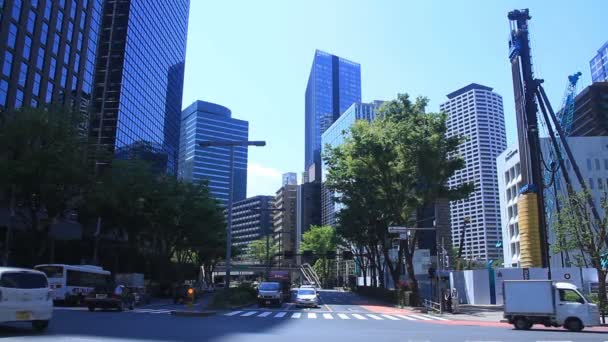 Narukotenjin Large Vue Intersection West Shinjuk Est Une Ville Située — Video
