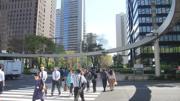 スクランブル交差点西新宿でワイド ショットの右側 その東京市内に位置します 時間経過 カメラ キヤノン Eos — ストック動画