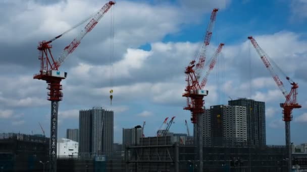 Gru Time Lapse Ariake Tokyo Grandangolo Zoom Una Posizione Della — Video Stock