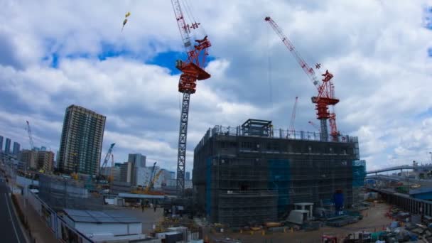 Grue Time Lapse Oeil Poisson Ariake Tokyo Plan Large Droite — Video