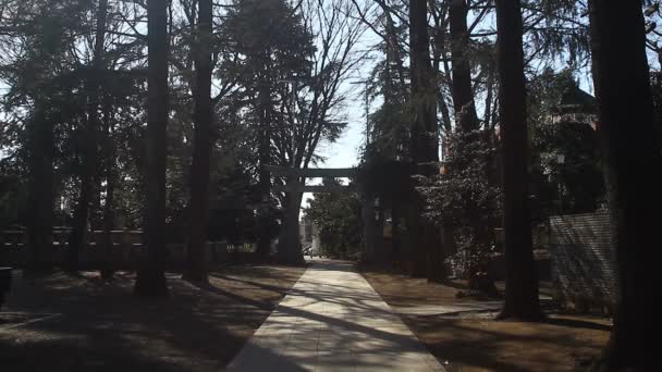 Torii Principal Santuário Tachikawa Suwa Tóquio Uma Localização Tradicional Tóquio — Vídeo de Stock