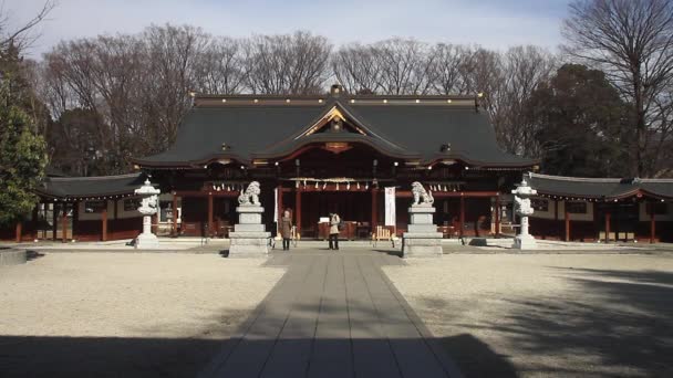 Храм Расположен Храме Татикава Сува Токио Традиционное Место Токио Камера — стоковое видео