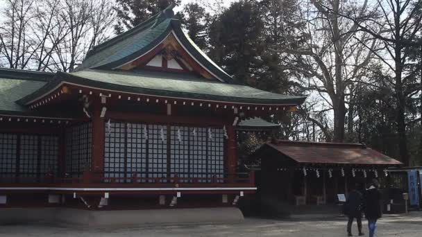 Posizione Del Tempio Santuario Tachikawa Suwa Tokyo Una Posizione Tradizionale — Video Stock