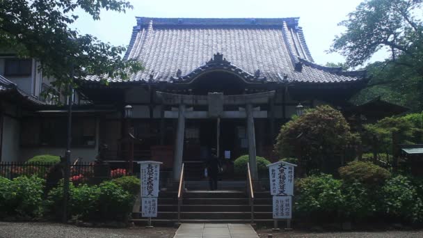 Templo Principal Ikegami Honmonji Ikegami Tokio Lugar Tradicional Tokio Cámara — Vídeos de Stock