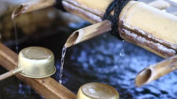 Chozuya Santuario Japonés Lugar Tradicional Tokio Cámara Canon Eos — Vídeos de Stock