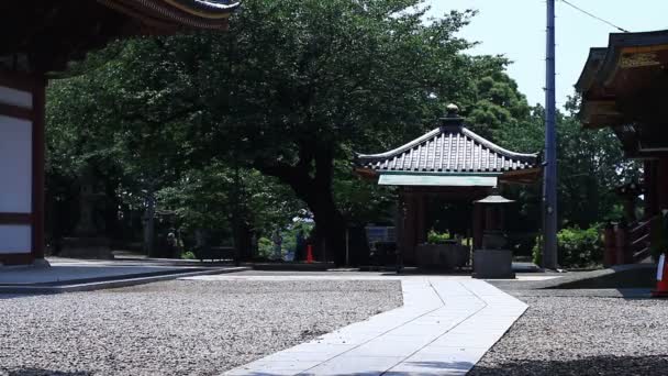 Ikegami Honmonji Huvudtemplet Ikegami Tokyo Dess Traditionell Plats Tokyo Kamera — Stockvideo