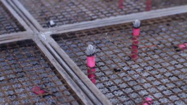 Tütsü brülör Tokyo Ikegami Honmonji Tapınağı'nda / onun Tokyo geleneksel bir konumda. fotoğraf makinesi: Canon Eos 7d