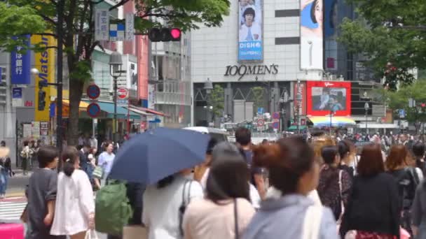 Shibuya Überquert Zeitraffer Ist Ein Ort Tokio Zeitraffer Kamera Canon — Stockvideo