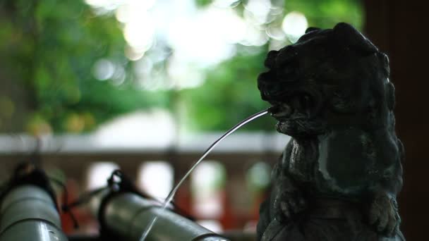 Chozuya Met Standbeeld Komainu Bij Iruki Heiligdom Dicht Schot Ondiepe — Stockvideo