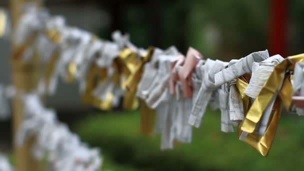 Rituale Fotune Santuario Iruki Shinagawa Tokyo Una Posizione Tradizionale Tokyo — Video Stock