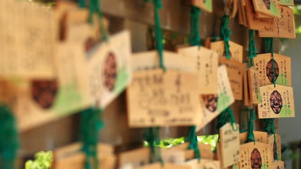 Tableta Votiva Santuario Japonés Una Ubicación Tradicional Tokio Cámara Canon — Vídeo de stock