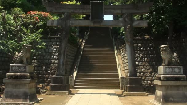 Κύριος Ναός Στο Ιερό Σιναγκάβα Τόκιο Μια Παραδοσιακή Τοποθεσία Στο — Αρχείο Βίντεο