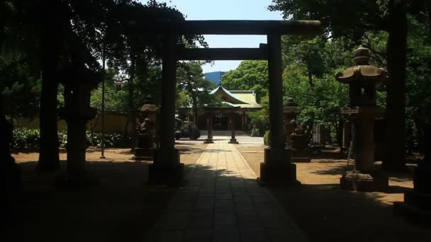 Torii Santuario Shinagawa Tokio Lugar Tradicional Tokio Cámara Canon Eos — Vídeos de Stock