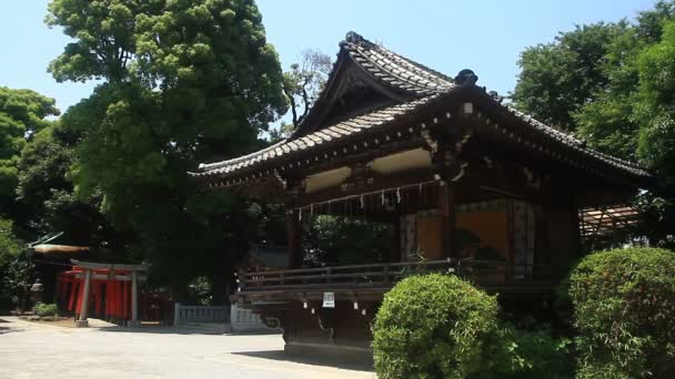 Υπο Ναός Στο Ιερό Σιναγκάβα Τόκιο Μια Παραδοσιακή Τοποθεσία Στο — Αρχείο Βίντεο