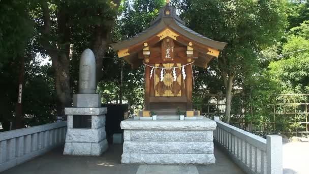 Υπο Ναός Στο Ιερό Σιναγκάβα Τόκιο Μια Παραδοσιακή Τοποθεσία Στο — Αρχείο Βίντεο
