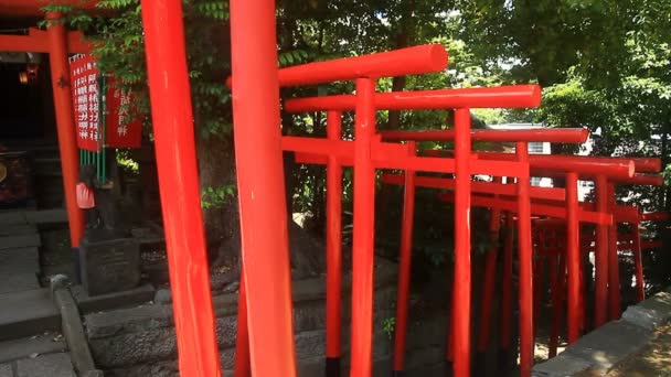 Τορίι Στο Shinagawa Ναός Τόκιο Μια Παραδοσιακή Τοποθεσία Στο Τόκιο — Αρχείο Βίντεο