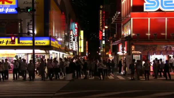 Akihabara Poblíž Elektrický Město Datum Noc Ver Časová Prodleva Jeho — Stock video