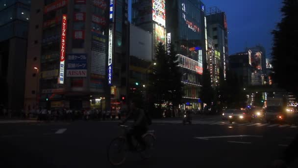 Akihabara Rua Tóquio Sua Uma Localização Cidade Tóquio Câmera Canon — Vídeo de Stock