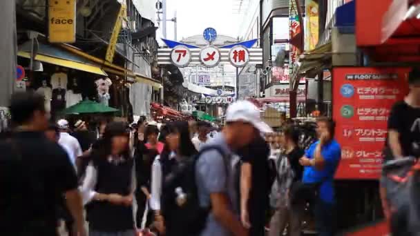 上野アメ横通りサイン ボード浅いフォーカス時間経過を含めて 東京市内に位置 時間の経過 カメラ キヤノン Eos — ストック動画