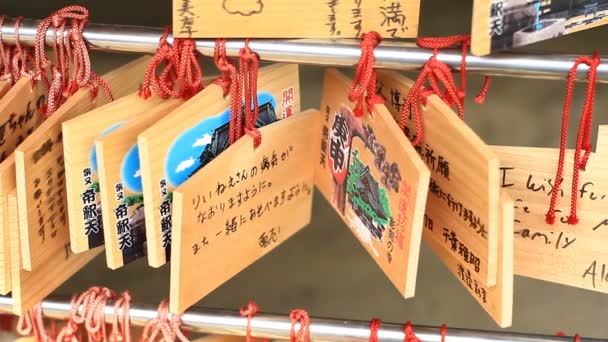 Daikeiji Κύριος Ναός Τόκιο Μια Παραδοσιακή Τοποθεσία Στο Τόκιο Φωτογραφική — Αρχείο Βίντεο