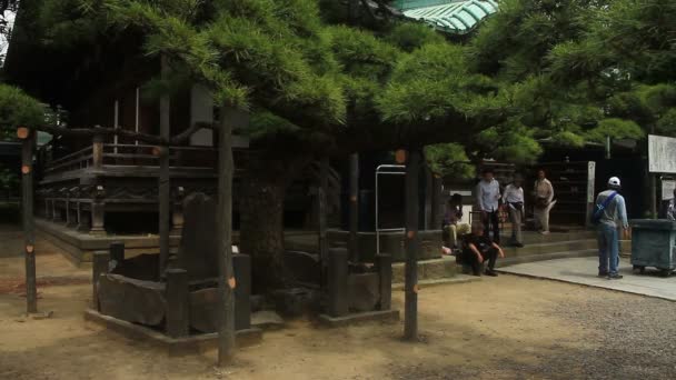 Daikeiji 主要寺庙在东京或它一个传统地点在东京 摄像头 Eos — 图库视频影像