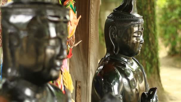 Statue Bosatsu Japanischen Tempel Tokio Ist Ein Traditioneller Ort Tokio — Stockvideo