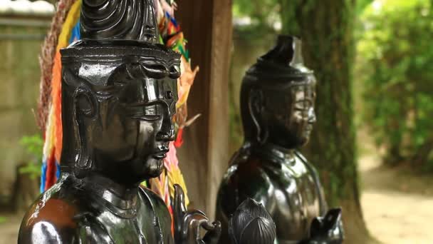 Estatua Bosatsu Templo Japonés Tokio Lugar Tradicional Tokio Cámara Canon — Vídeo de stock