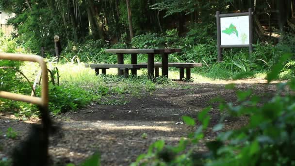 東京の竹林公園で森の休憩所 自然地東京 カメラ キヤノン Eos — ストック動画