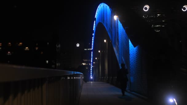 Caminar Gente Puente Eitai Por Noche Tokio Una Ubicación Ciudad — Vídeos de Stock