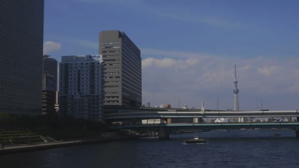 Γέφυρα Eitai Βορεια Πλευρα Στο Τόκιο Βαθιάς Εστίαση Μια Πόλη — Αρχείο Βίντεο