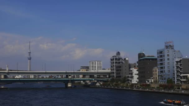 Eitai 桥梁北部在东京深刻的焦点或它的城市位置在东京 摄像头 Eos — 图库视频影像