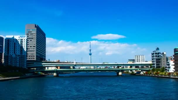 Lapso Tempo Ponte Eitai Lado Sul Tóquio Uma Localização Cidade — Vídeo de Stock