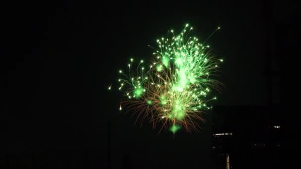 ดอกไม้ไฟใกล้กับตึกที่เมืองในโตเกียวในคืนฤดูร้อน — วีดีโอสต็อก