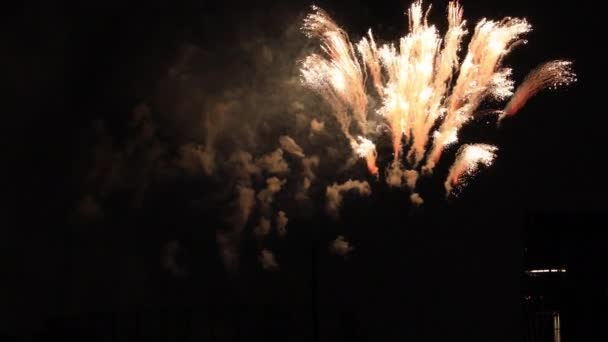 Feux d'artifice près du bâtiment de la ville urbaine de Tokyo la nuit d'été — Video