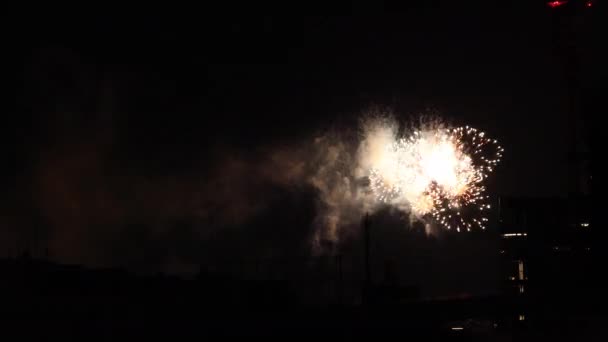 Feuerwerk in der Nähe des Gebäudes in der Stadt Tokio in der Sommernacht — Stockvideo