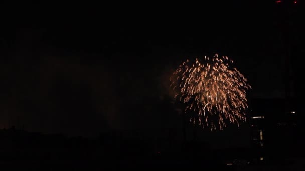 Feuerwerk in der Nähe des Gebäudes in der Stadt Tokio in der Sommernacht — Stockvideo
