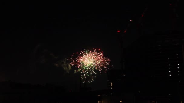 夏の夜、東京都内のビルの近くで花火 — ストック動画