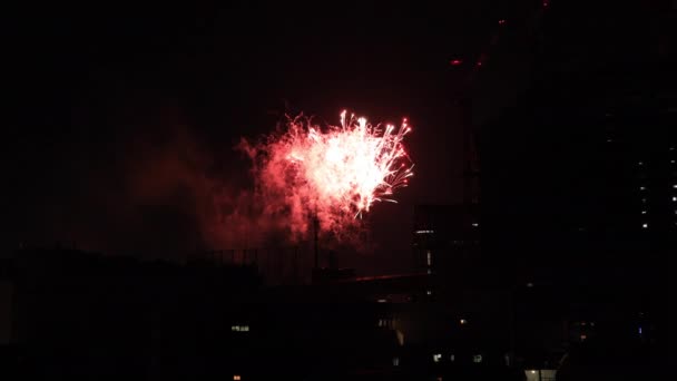 Fogos de artifício perto do edifício na cidade urbana de Tóquio na noite de verão — Vídeo de Stock