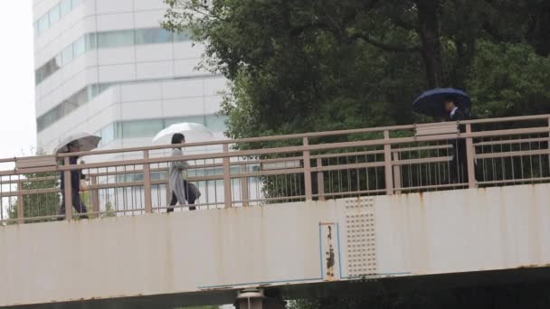 Spaziergänger in der Innenstadt von Shinagawa, Tokio — Stockvideo