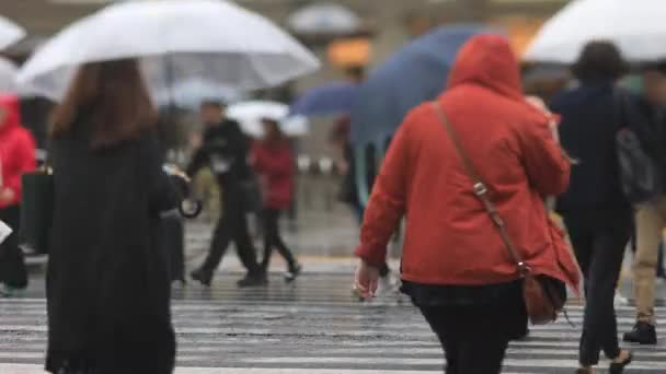 Promenader människor på centrum gatan i Shinagawa Tokyo regnig dag — Stockvideo