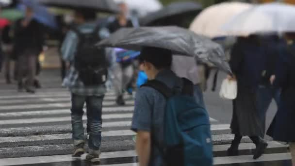 Lopende mensen in de binnenstad straat in Shinagawa Tokio regenachtige dag — Stockvideo