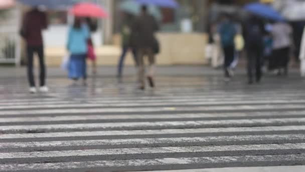 Chodící lidé v centru města v Shinagawa Tokyo deštivý den — Stock video