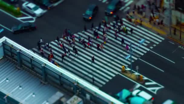 Timelapse wysokiego kąta wglądu przed stacją w Tokio daytime zachmurzone niebo tilt shift — Wideo stockowe