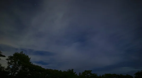 밤에 시즈오카의 숲 속의 별 이 총 총 한 하늘 — 스톡 사진