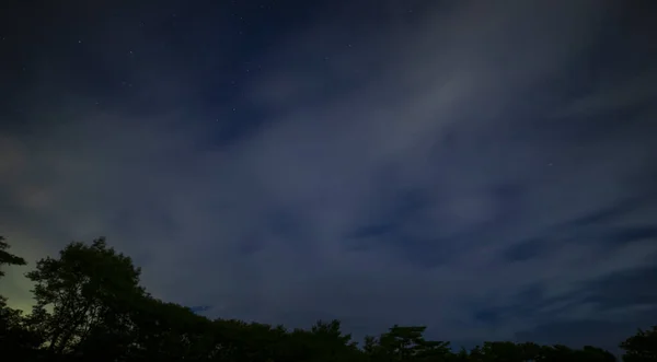 Un cielo stellato nella foresta di Shizuoka di notte — Foto Stock