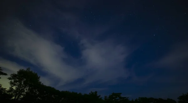 夜晚，静冈森林里星空闪烁 — 图库照片