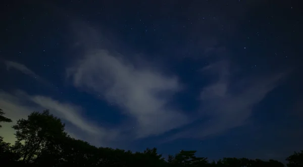 夜晚，静冈森林里星空闪烁 — 图库照片